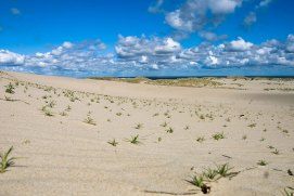 sand-dunes-nida-lithuania-miskonamas.jpg